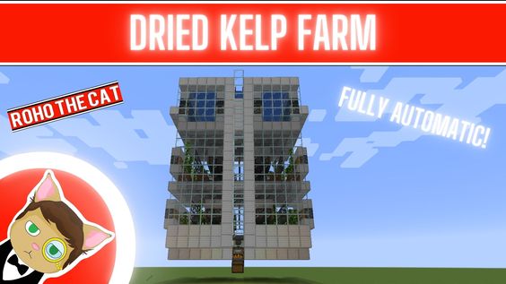 Each And Everything You Should Need To Know About Dried Kelp Minecraft