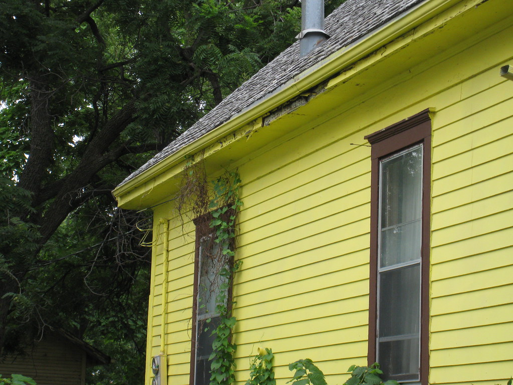 What Is Fascia On A House? Purpose Of Fascia, When The Fascia Board Should Replace And More